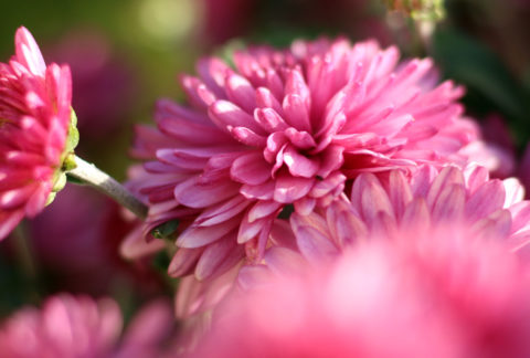 banner-01
