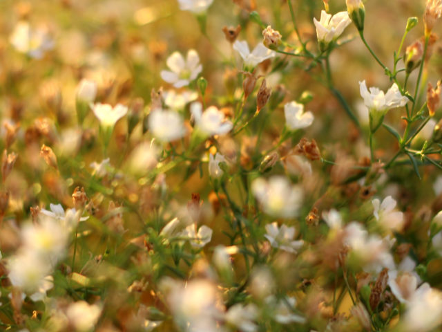 banner-03